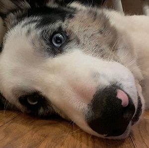 Meet your Posher, Claudia